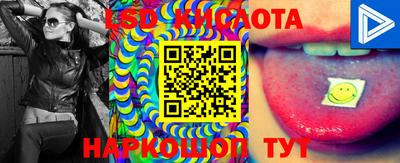 МДПВ Донской