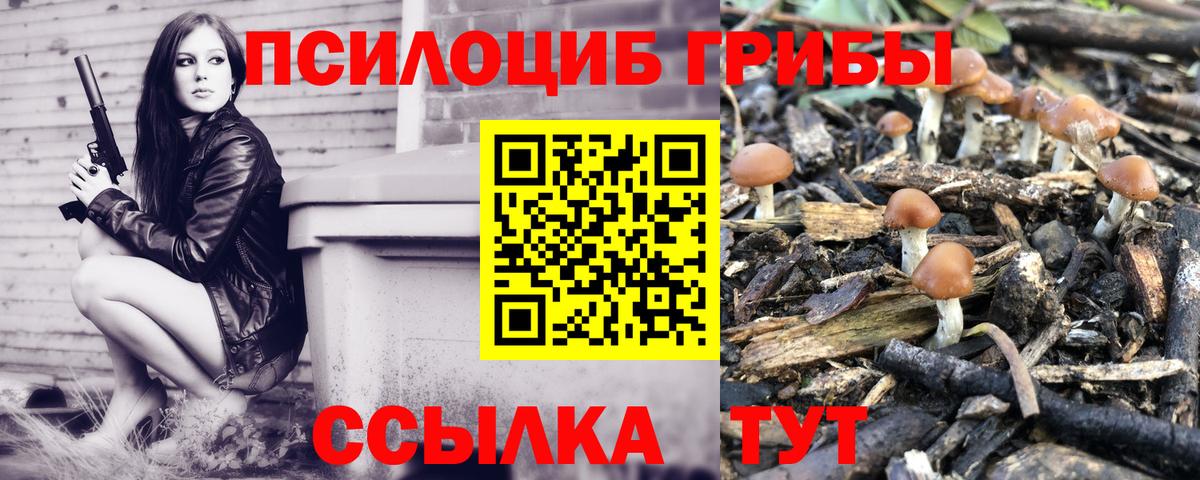 Галлюциногенные грибы мухоморы Красноперекопск
