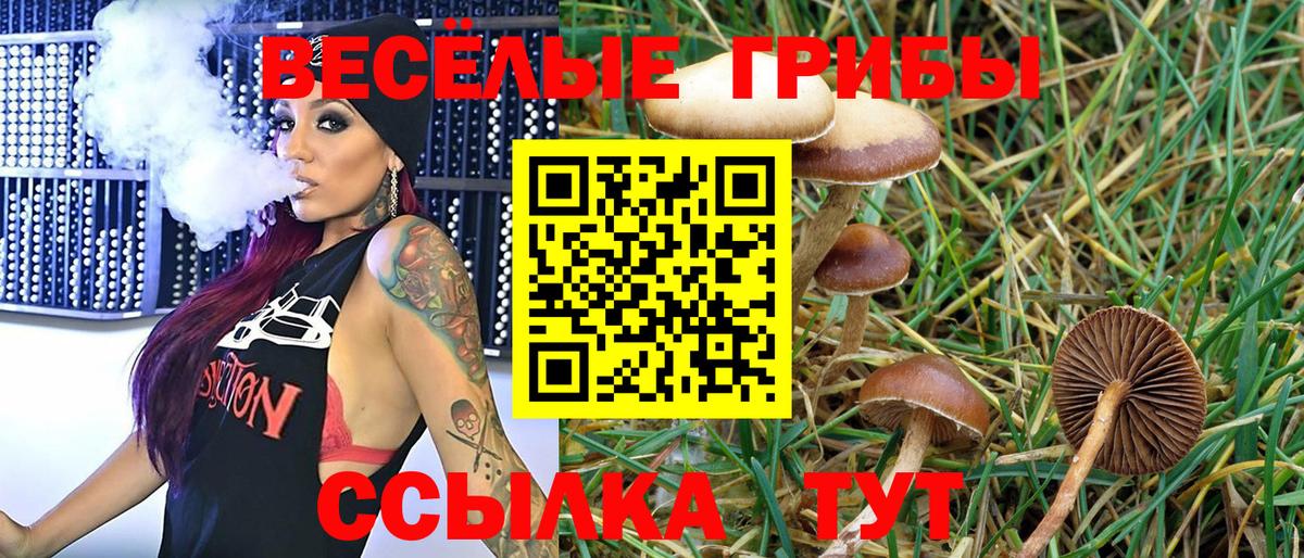 Красноперекопск  закладка  Вход с VPN  Галлюциногенные грибы MAGIC MUSHROOMS 